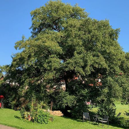 Ferienwohnung Am Rennsteig Bei Eisenach - Ilona Schmidt Wolfsburg-Unkeroda Eksteriør bilde